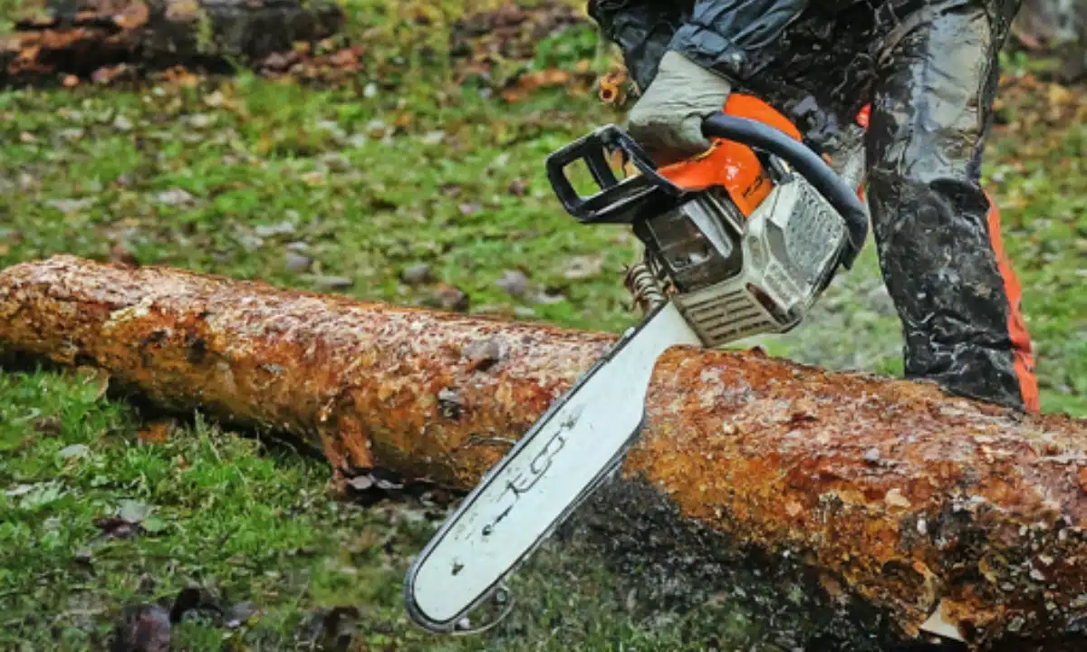 Cutting Wet wood